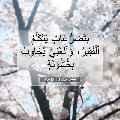 Picture 07 - أَمْثَالٌ 18:23 AVD - بِتَضَرُّعَاتٍ - Bible Verse Picture