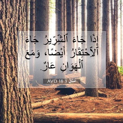 Picture 07 - أَمْثَالٌ 18:3 AVD - إِذَا جَاءَ ٱلشِّرِّيرُ - Bible Verse Picture