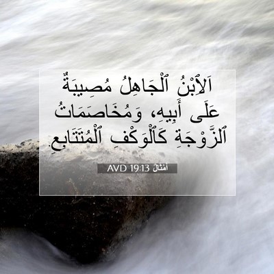 Picture 07 - أَمْثَالٌ 19:13 AVD - اَلِٱبْنُ ٱلْجَاهِلُ - Bible Verse Picture