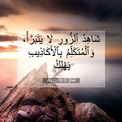 Picture 07 - أَمْثَالٌ 19:9 AVD - شَاهِدُ ٱلزُّورِ لَا - Bible Verse Picture