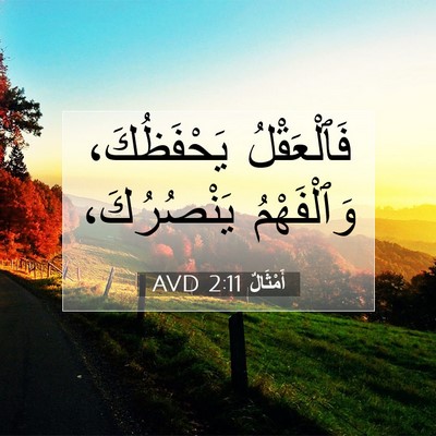 Picture 07 - أَمْثَالٌ 2:11 AVD - فَٱلْعَقْلُ يَحْفَظُكَ، - Bible Verse Picture