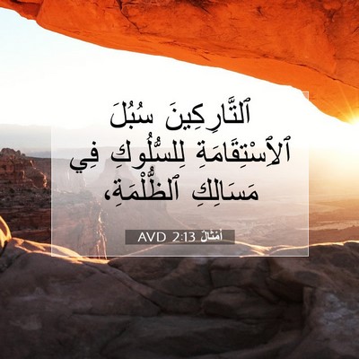 Picture 07 - أَمْثَالٌ 2:13 AVD - ٱلتَّارِكِينَ سُبُلَ - Bible Verse Picture