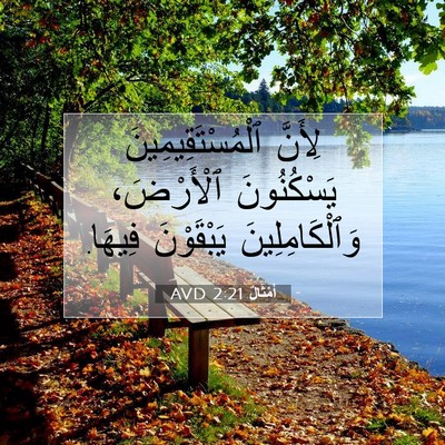 Picture 07 - أَمْثَالٌ 2:21 AVD - لِأَنَّ ٱلْمُسْتَقِيمِينَ - Bible Verse Picture