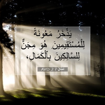 Picture 07 - أَمْثَالٌ 2:7 AVD - يَذْخَرُ مَعُونَةً - Bible Verse Picture