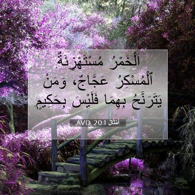 Picture 07 - أَمْثَالٌ 20:1 AVD - اَلْخَمْرُ - Bible Verse Picture