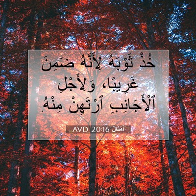 Picture 07 - أَمْثَالٌ 20:16 AVD - خُذْ ثَوْبَهُ لِأَنَّهُ - Bible Verse Picture