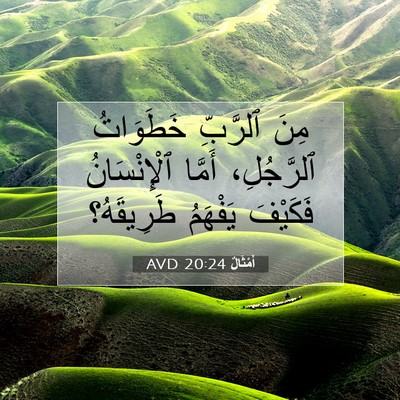 Picture 07 - أَمْثَالٌ 20:24 AVD - مِنَ ٱلرَّبِّ خَطَوَاتُ - Bible Verse Picture