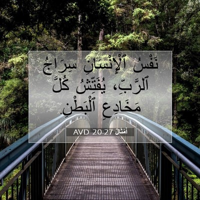 Picture 07 - أَمْثَالٌ 20:27 AVD - نَفْسُ ٱلْإِنْسَانِ - Bible Verse Picture