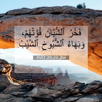 Picture 07 - أَمْثَالٌ 20:29 AVD - فَخْرُ ٱلشُّبَّانِ - Bible Verse Picture