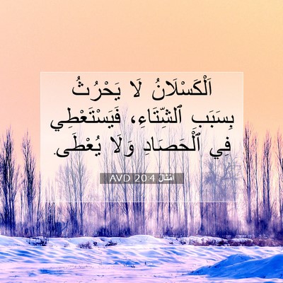 Picture 07 - أَمْثَالٌ 20:4 AVD - اَلْكَسْلَانُ لَا - Bible Verse Picture