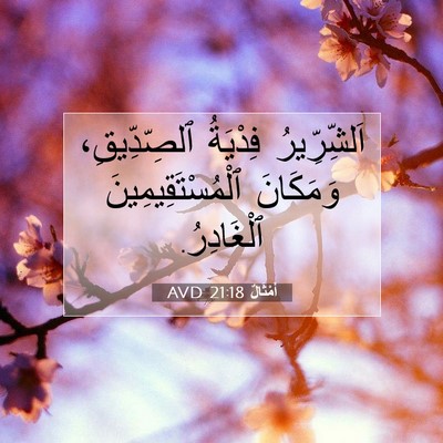 Picture 07 - أَمْثَالٌ 21:18 AVD - اَلشِّرِّيرُ فِدْيَةُ - Bible Verse Picture