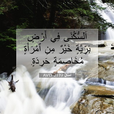 Picture 07 - أَمْثَالٌ 21:19 AVD - اَلسُّكْنَى فِي أَرْضٍ - Bible Verse Picture
