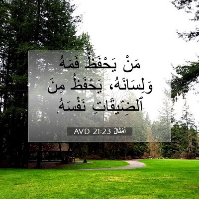 Picture 07 - أَمْثَالٌ 21:23 AVD - مَنْ يَحْفَظُ فَمَهُ - Bible Verse Picture