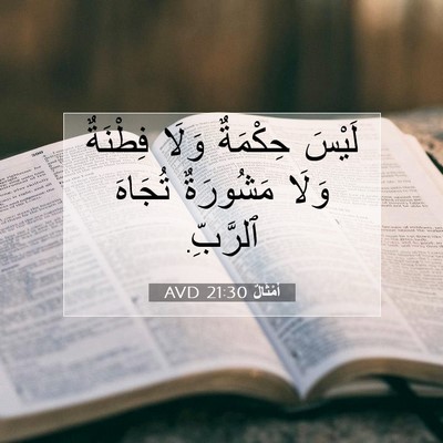 Picture 07 - أَمْثَالٌ 21:30 AVD - لَيْسَ حِكْمَةٌ وَلَا - Bible Verse Picture