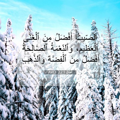 Picture 07 - أَمْثَالٌ 22:1 AVD - اَلصِّيتُ أَفْضَلُ مِنَ - Bible Verse Picture