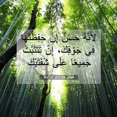 Picture 07 - أَمْثَالٌ 22:18 AVD - لِأَنَّهُ حَسَنٌ إِنْ - Bible Verse Picture