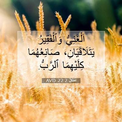 Picture 07 - أَمْثَالٌ 22:2 AVD - اَلْغَنِيُّ وَٱلْفَقِيرُ - Bible Verse Picture