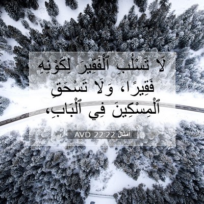 Picture 07 - أَمْثَالٌ 22:22 AVD - لَا تَسْلُبِ ٱلْفَقِيرَ - Bible Verse Picture