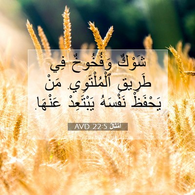 Picture 07 - أَمْثَالٌ 22:5 AVD - شَوْكٌ وَفُخُوخٌ فِي - Bible Verse Picture