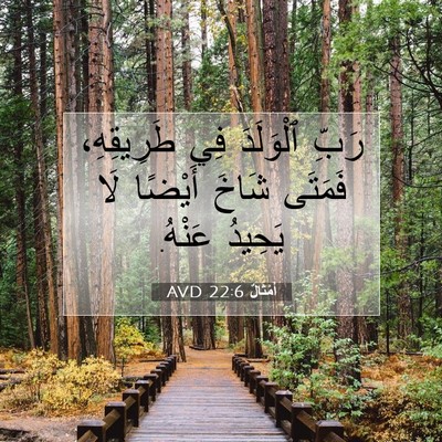 Picture 07 - أَمْثَالٌ 22:6 AVD - رَبِّ ٱلْوَلَدَ فِي - Bible Verse Picture