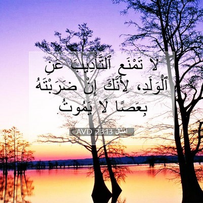 Picture 07 - أَمْثَالٌ 23:13 AVD - لَا تَمْنَعِ ٱلتَّأْدِيبَ - Bible Verse Picture