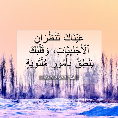 Picture 07 - أَمْثَالٌ 23:33 AVD - عَيْنَاكَ تَنْظُرَانِ - Bible Verse Picture