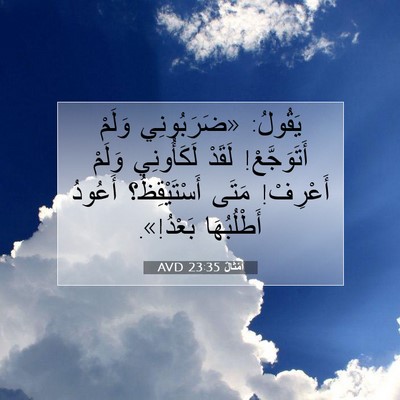 Picture 07 - أَمْثَالٌ 23:35 AVD - يَقُولُ: «ضَرَبُونِي - Bible Verse Picture