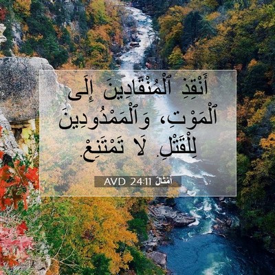 Picture 07 - أَمْثَالٌ 24:11 AVD - أَنْقِذِ ٱلْمُنْقَادِينَ - Bible Verse Picture