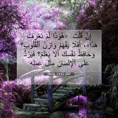 Picture 07 - أَمْثَالٌ 24:12 AVD - إِنْ قُلْتَ: «هُوَذَا لَمْ - Bible Verse Picture
