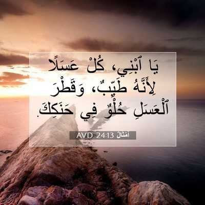 Picture 07 - أَمْثَالٌ 24:13 AVD - يَا ٱبْنِي، كُلْ عَسَلًا - Bible Verse Picture