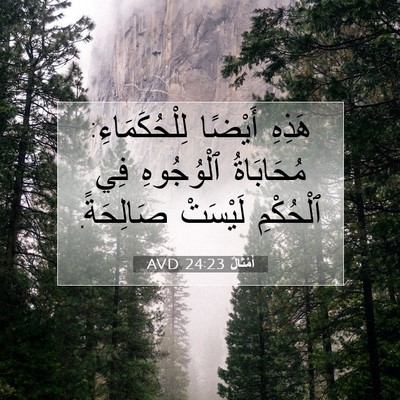Picture 07 - أَمْثَالٌ 24:23 AVD - هَذِهِ أَيْضًا - Bible Verse Picture
