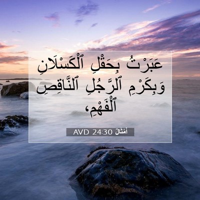 Picture 07 - أَمْثَالٌ 24:30 AVD - عَبَرْتُ بِحَقْلِ - Bible Verse Picture