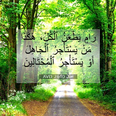 Picture 07 - أَمْثَالٌ 26:10 AVD - رَامٍ يَطْعَنُ ٱلْكُلَّ، - Bible Verse Picture