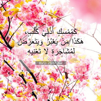 Picture 07 - أَمْثَالٌ 26:17 AVD - كَمُمْسِكٍ أُذُنَيْ - Bible Verse Picture
