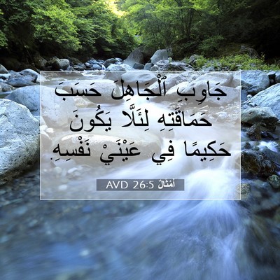 Picture 07 - أَمْثَالٌ 26:5 AVD - جَاوِبِ ٱلْجَاهِلَ حَسَبَ - Bible Verse Picture