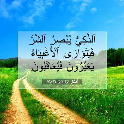 Picture 07 - أَمْثَالٌ 27:12 AVD - ٱلذَّكِيُّ يُبْصِرُ - Bible Verse Picture