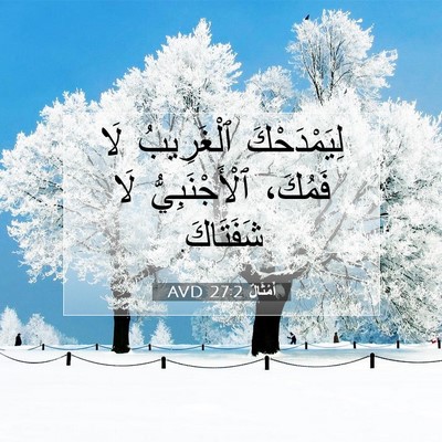 Picture 07 - أَمْثَالٌ 27:2 AVD - لِيَمْدَحْكَ ٱلْغَرِيبُ - Bible Verse Picture
