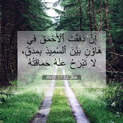 Picture 07 - أَمْثَالٌ 27:22 AVD - إِنْ دَقَقْتَ ٱلْأَحْمَقَ - Bible Verse Picture