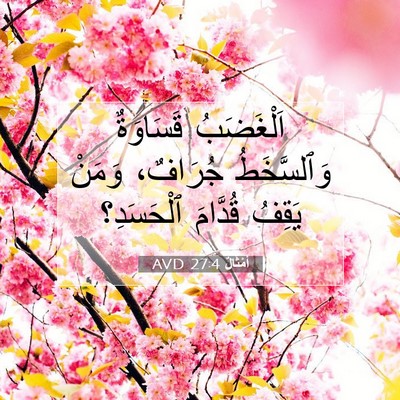 Picture 07 - أَمْثَالٌ 27:4 AVD - اَلْغَضَبُ قَسَاوَةٌ - Bible Verse Picture
