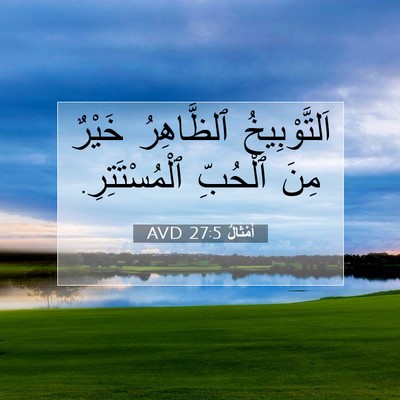 Picture 07 - أَمْثَالٌ 27:5 AVD - اَلتَّوْبِيخُ ٱلظَّاهِرُ - Bible Verse Picture