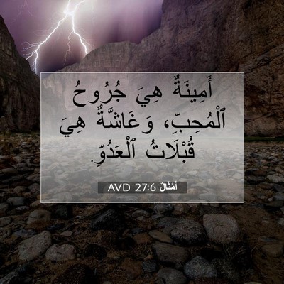 Picture 07 - أَمْثَالٌ 27:6 AVD - أَمِينَةٌ هِيَ جُرُوحُ - Bible Verse Picture