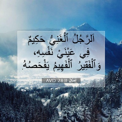 Picture 07 - أَمْثَالٌ 28:11 AVD - اَلرَّجُلُ ٱلْغَنِيُّ - Bible Verse Picture
