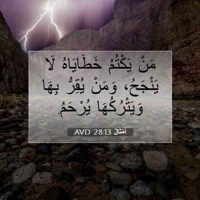 Picture 07 - أَمْثَالٌ 28:13 AVD - مَنْ يَكْتُمُ خَطَايَاهُ - Bible Verse Picture
