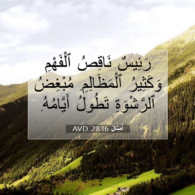 Picture 07 - أَمْثَالٌ 28:16 AVD - رَئِيسٌ نَاقِصُ ٱلْفَهْمِ - Bible Verse Picture
