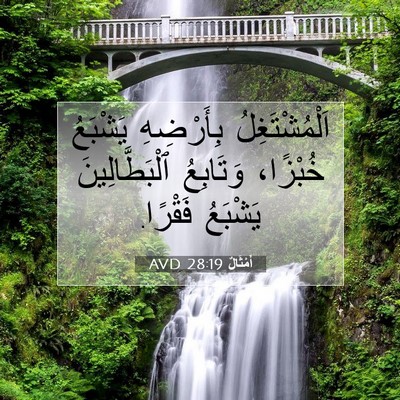 Picture 07 - أَمْثَالٌ 28:19 AVD - اَلْمُشْتَغِلُ بِأَرْضِهِ - Bible Verse Picture