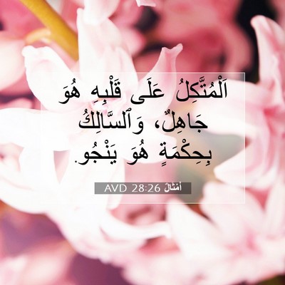 Picture 07 - أَمْثَالٌ 28:26 AVD - اَلْمُتَّكِلُ عَلَى - Bible Verse Picture