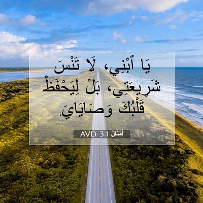 Picture 07 - أَمْثَالٌ 3:1 AVD - يَا ٱبْنِي، لَا تَنْسَ - Bible Verse Picture
