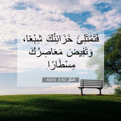 Picture 07 - أَمْثَالٌ 3:10 AVD - فَتَمْتَلِئَ خَزَائِنُكَ - Bible Verse Picture