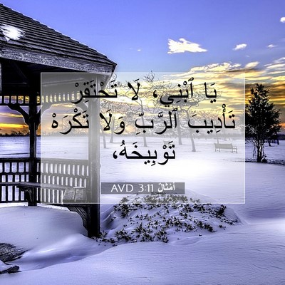 Picture 07 - أَمْثَالٌ 3:11 AVD - يَا ٱبْنِي، لَا تَحْتَقِرْ - Bible Verse Picture