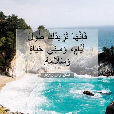 Picture 07 - أَمْثَالٌ 3:2 AVD - فَإِنَّهَا تَزِيدُكَ - Bible Verse Picture
